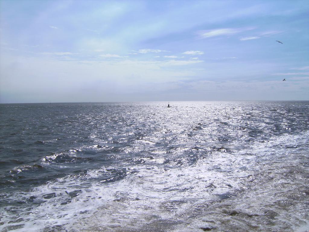 De Grote Sluis Villa Harlingen Rum bild